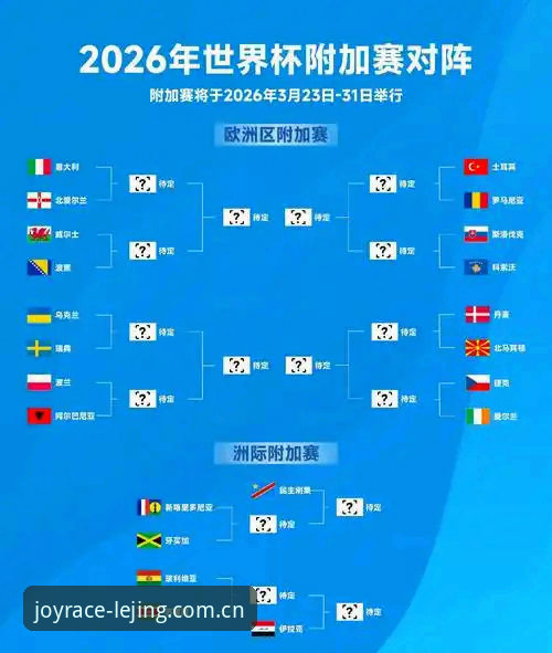 世界杯观赛受阻事件深度解析——从球迷签证难题看赛事筹备现状